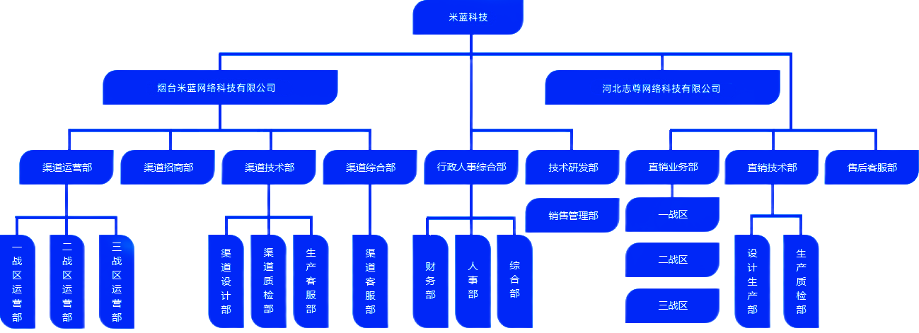 公司组织架构图